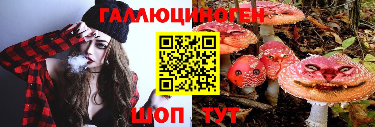 Лыткарино  Псилоцибиновые грибы Psilocybine cubensis  как найти наркотики  Вход с VPN 