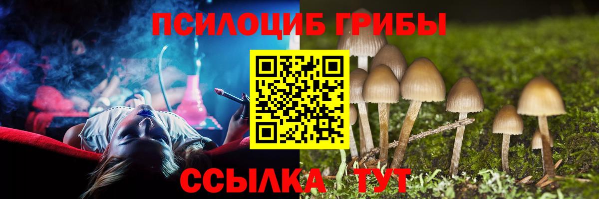 Псилоцибиновые грибы GOLDEN TEACHER Лыткарино